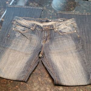 Vigoss Flare Jeans in Distressed Blue